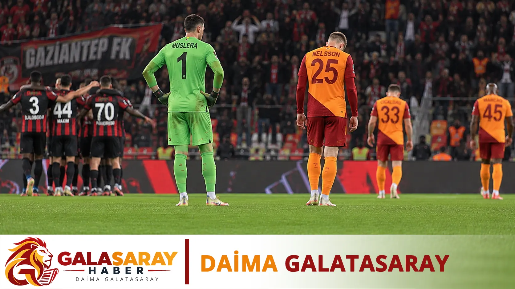 Aslan Gaziantep'te Kayıp